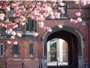 Archway at Queen's with Cherry Blossom in Foreground