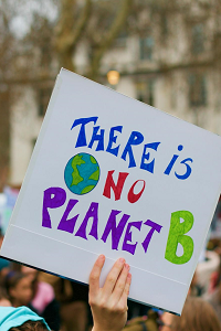 A sign is being held up by hand saying 'There is no planet B' in a densely packed crowd at a Climate Change protest.