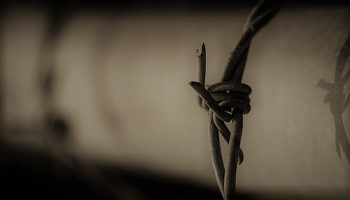 Barbed wire through sepia filter 