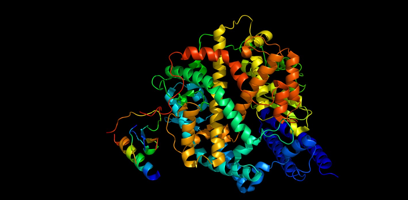 Stylised depiction of enzyme against black background