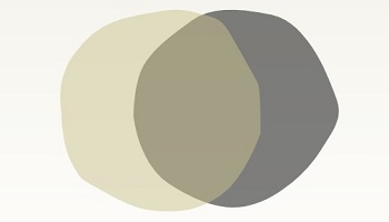 Pie chart of two overlapping circular shapes in beige, khaki and grey 