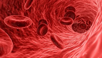 Blood plasma flowing through vein