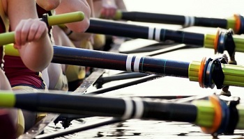 Close up four oars being held by female rowers in boat, on river 