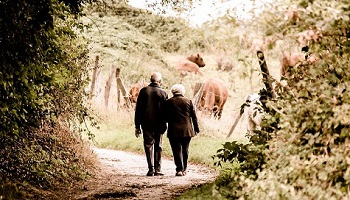 Elderly couple, with backs to camera, walking in countryside