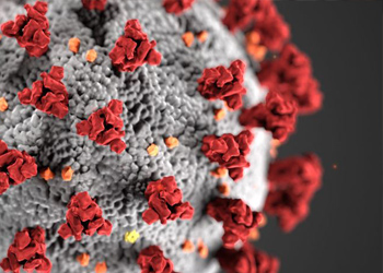 a corona virus microscope image